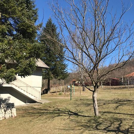 Apartman “Reka Gradac” Valjevo Eksteriør bilde