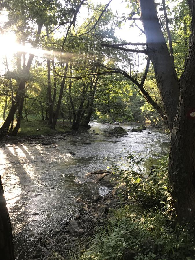 Apartman “Reka Gradac” Valjevo Eksteriør bilde